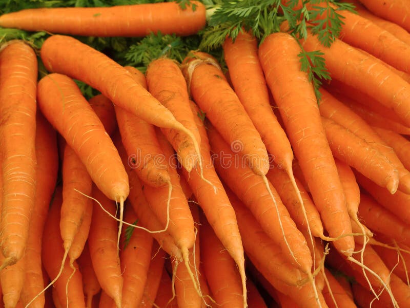 Outdoor market in Paris with fresh carrots