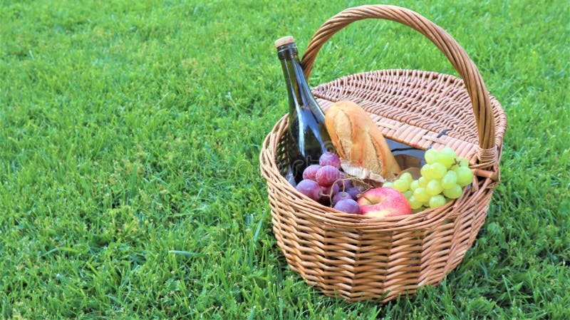 Wicker picnic basket with white and black grapes and wine on green grass outside in summer park, no people