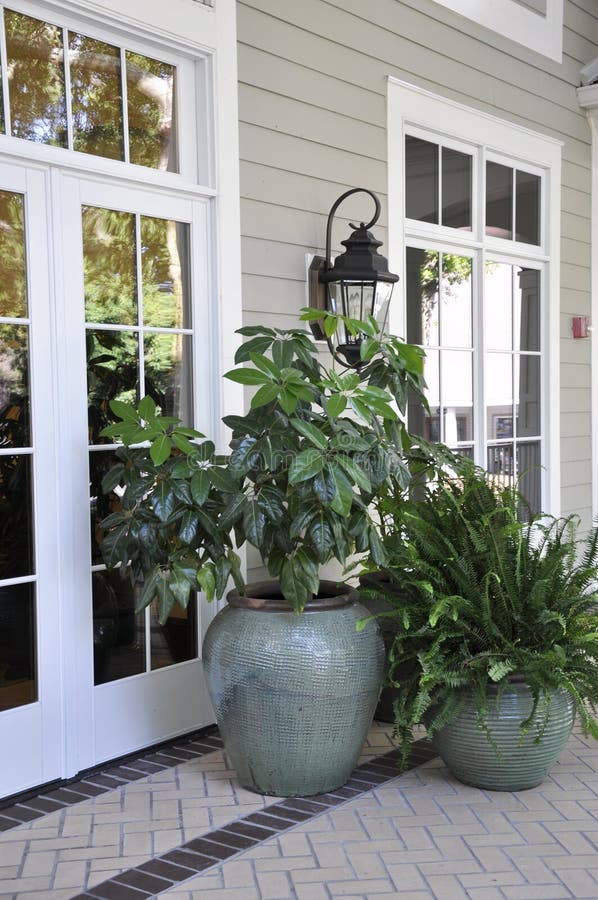 Outdoor potted plants stock photo. Image of nature, outdoor 15357154