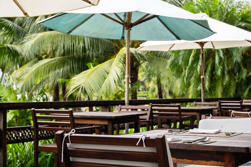 Outdoor Restaurant Surround Palm Trees Stock Photo Image of tables