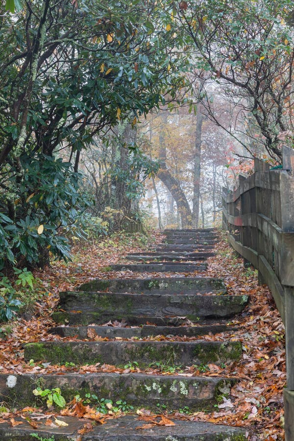 Outdoor Stairs on Hiking Trail Off the Blue Ridge Parkway NC Stock