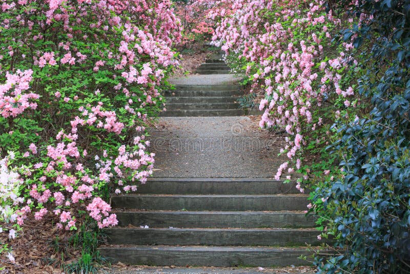 Outdoor Stone Stairway Callaway Gardens Georgia Stock Image