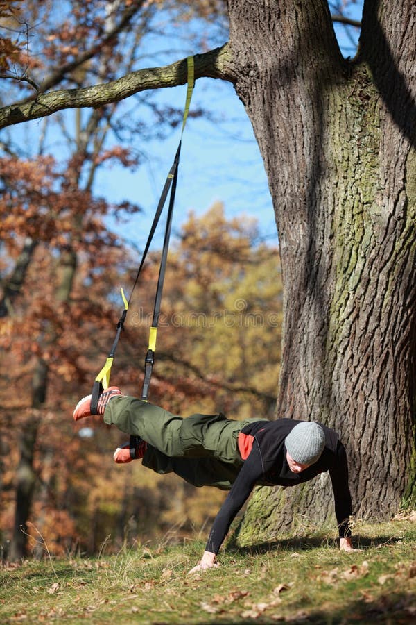 Outdoor Suspension Training in Forest Stock Photo Image of exercise, outside 62602076
