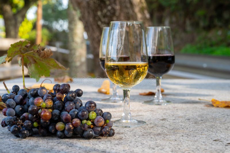 https://thumbs.dreamstime.com/b/outdoor-tasting-different-fortified-port-wines-glasses-sunny-autumn-douro-valley-portugal-vintage-close-up-203407109.jpg