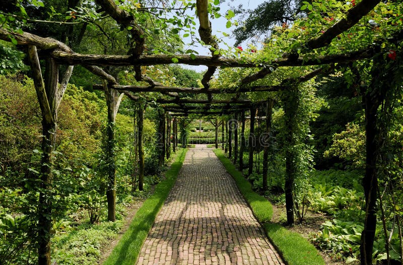 404 Garden Vines Walkway Stock Photos Free & RoyaltyFree Stock