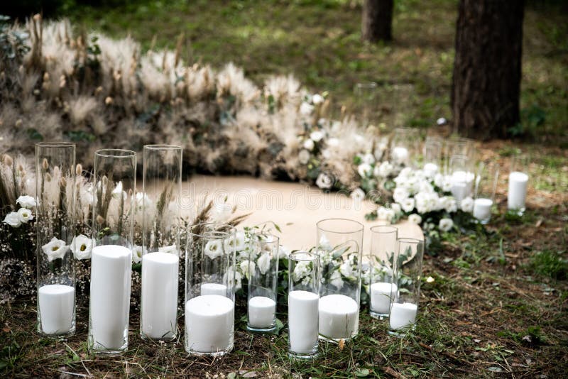 Outdoor wedding in rustic style,pine forest around