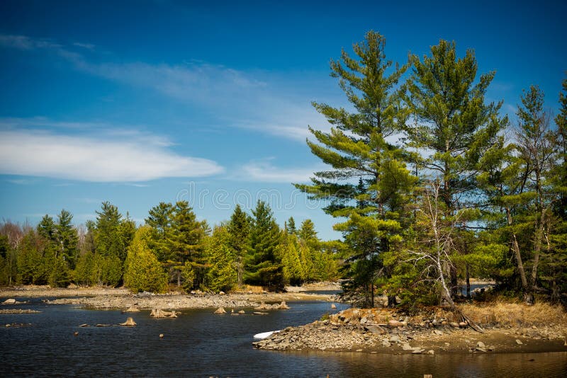 Outdoor Wilderness Lake Forest Landscape