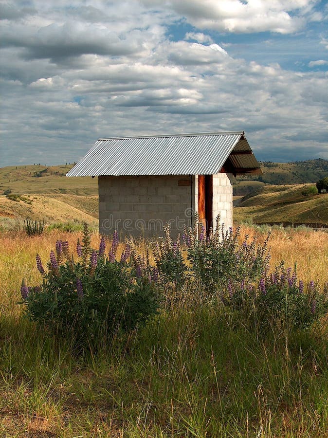 Outhouse wildflower στοκ εικόνες με δικαίωμα ελεύθερης χρήσης