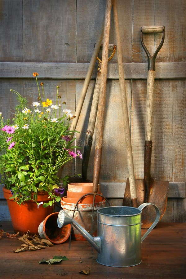 Garden tools and a pot of summer flowers in garden shed. Garden tools and a pot of summer flowers in garden shed