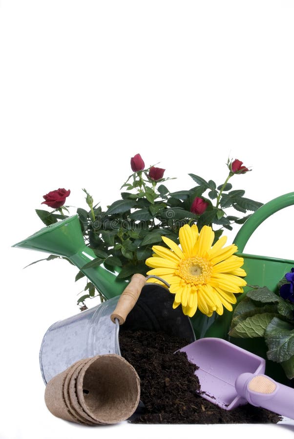 A bright yellow flower and small rose with all the tools needed to plant it. Springtime ,growth, new life. A bright yellow flower and small rose with all the tools needed to plant it. Springtime ,growth, new life