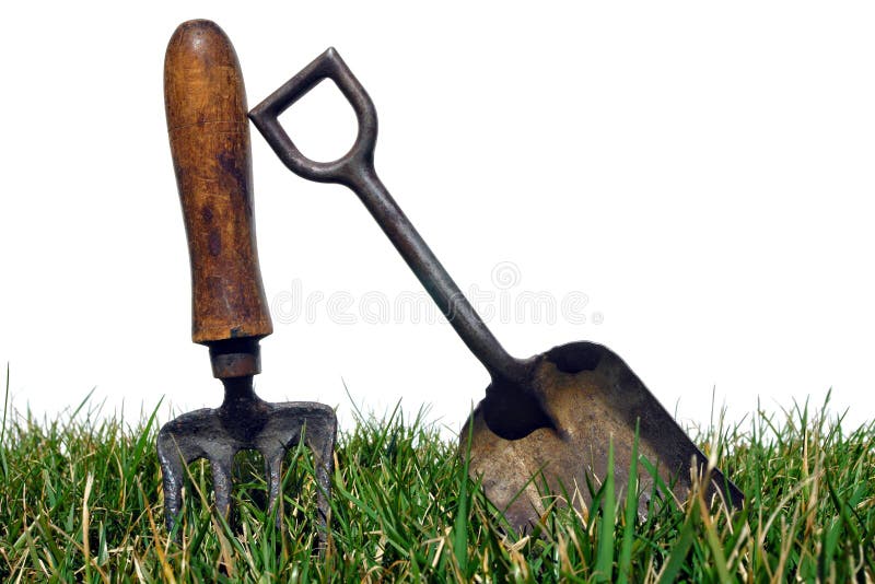 Antique gardening tools with old shovel and vintage spading fork in grass of garden lawn over white. Antique gardening tools with old shovel and vintage spading fork in grass of garden lawn over white