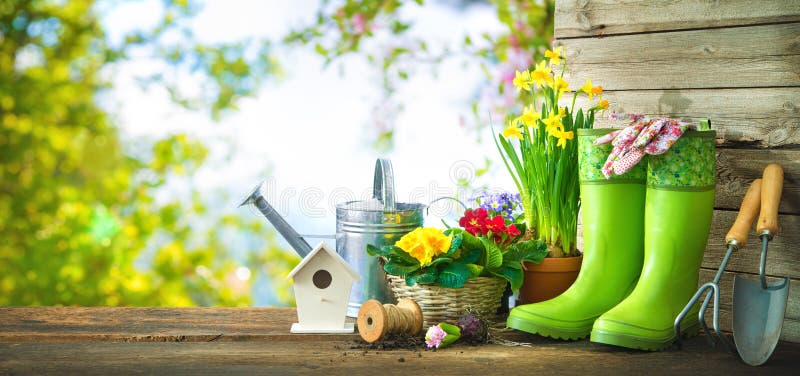 Gardening tools and spring flowers on the terrace in the garden. Gardening tools and spring flowers on the terrace in the garden