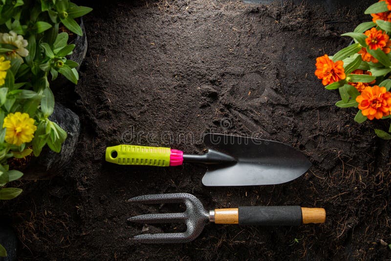 Outils De Jardinage Pour Démarrer Votre Petite Plante De Jardin