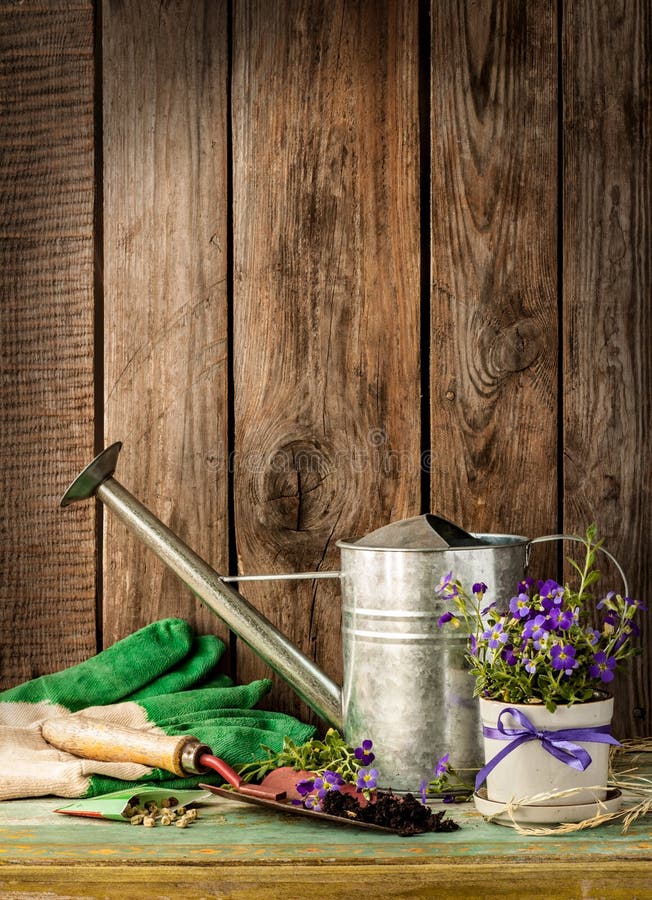 Gardening tools: watering can, flowers, gloves, spade, soil and seeds on vintage planked wood background. Spring in the garden concept layout with free text space. Gardening tools: watering can, flowers, gloves, spade, soil and seeds on vintage planked wood background. Spring in the garden concept layout with free text space.