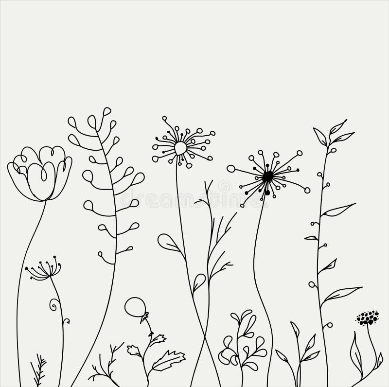 Outline hand drawn flowers and plants. Monochrome vector.