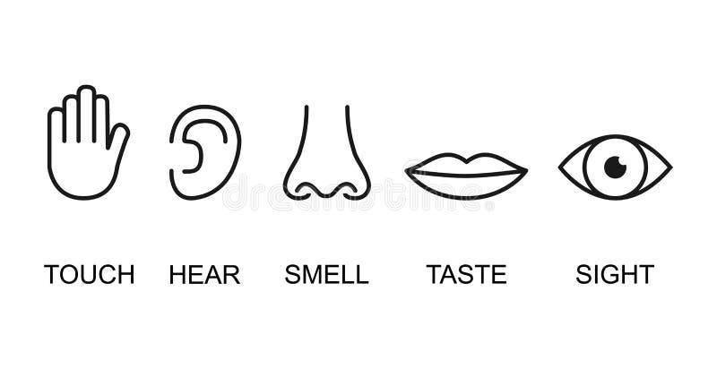 Outline Icon Set of Five Human Senses: Vision Eye, Smell Nose, Hearing ...