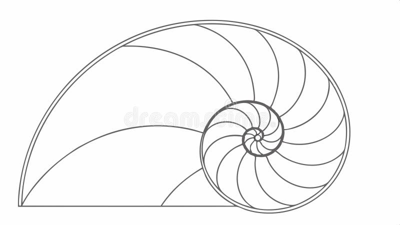 Outline illustration of a spiral nautilus shell vector design Generative AI royalty free illustration