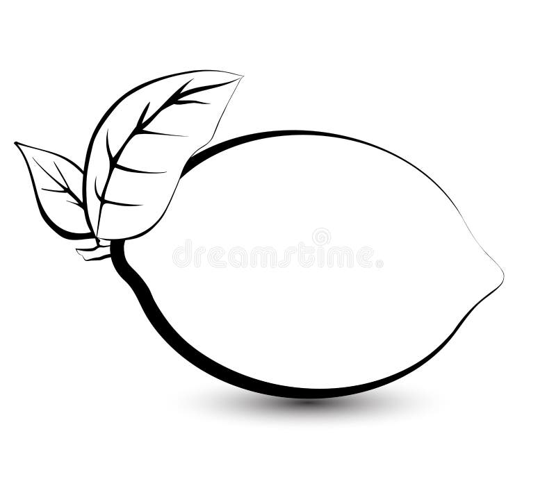 outline-sketch-monochrome-lemon-lime-stock-vector-illustration-of