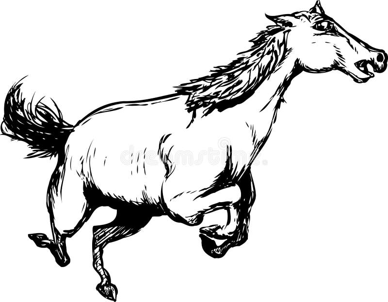 Outlined Wild Horse Running Stock Illustration - Illustration of sketch