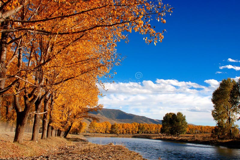 Beautiful landscape in autumn of westen China. Beautiful landscape in autumn of westen China