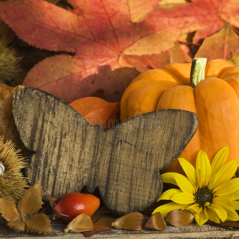 Autumn still life with wooden butterfly. Autumn still life with wooden butterfly