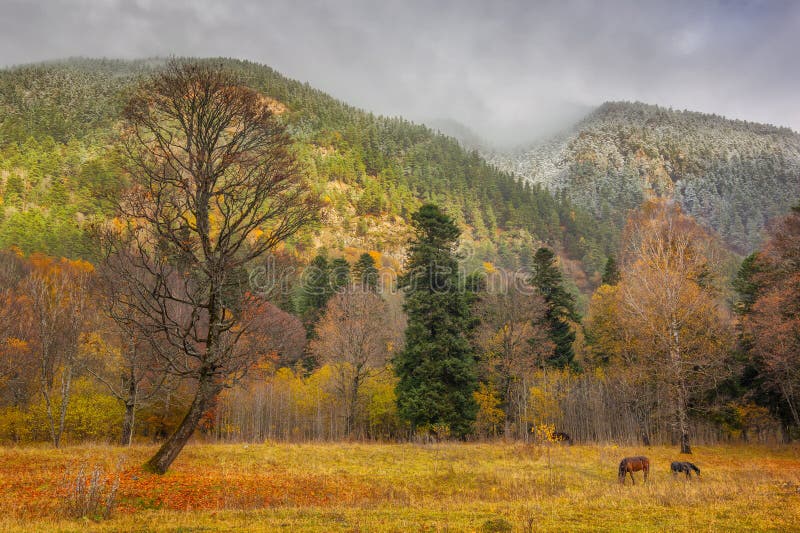 Outono em Arkhyz fotos de stock royalty free