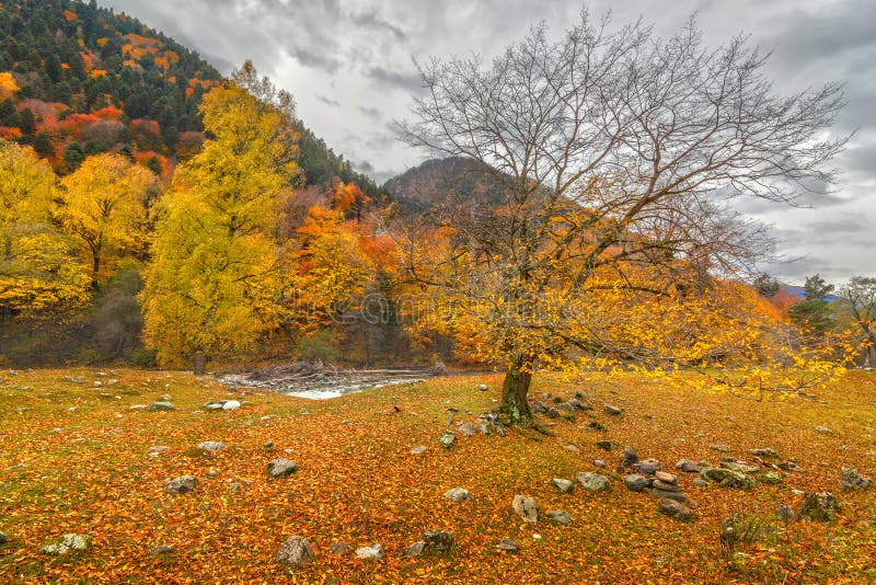 Outono em Arkhyz foto de stock royalty free