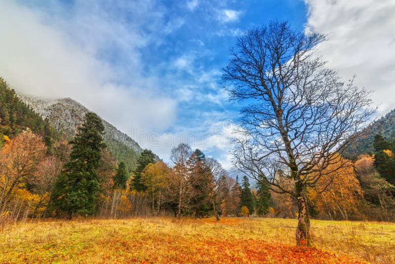 Outono em Arkhyz foto de stock
