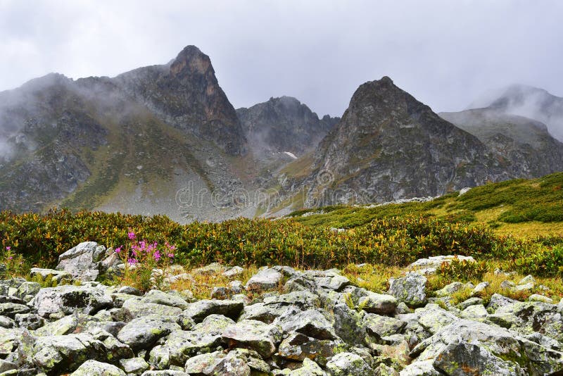 Outono em Arkhyz E imagem de stock royalty free