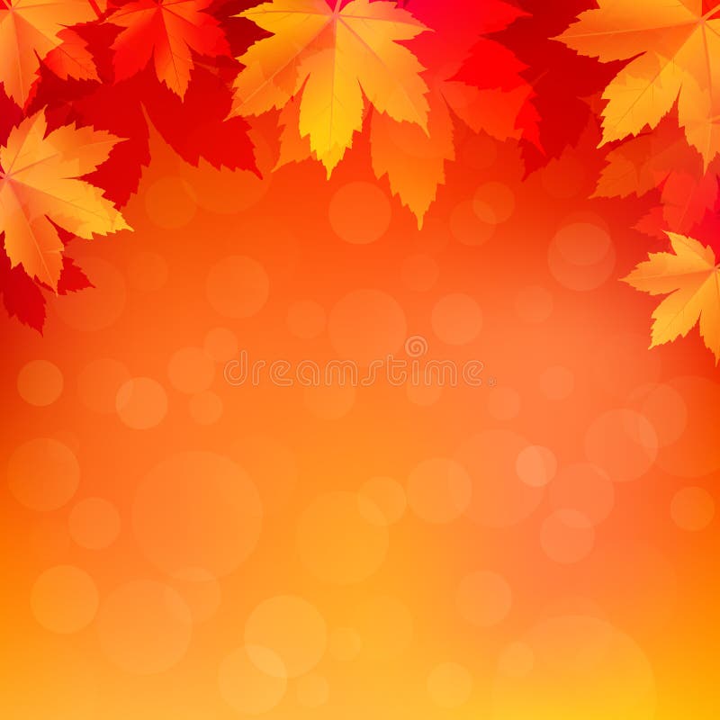 Outono, fundo de outono com folhas de bordo douradas brilhantes. ilustração stock