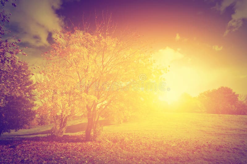 outono, paisagem da queda Estilo do vintage foto de stock outono, paisagem da queda Estilo do vintage foto de stock