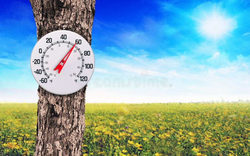 Thermometer To Measure The Temperature Afforded In The Garden, Hanging On  The Branches. Stock Photo, Picture and Royalty Free Image. Image 25093129.