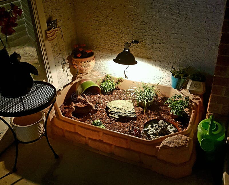 Outside Turtle Sandbox stock photo. Image of sandbox 157696074