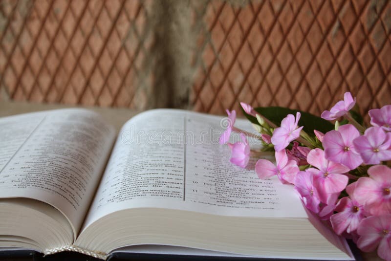 3,578 Photos de Bible Et Fleurs Photos de stock gratuites et libres
