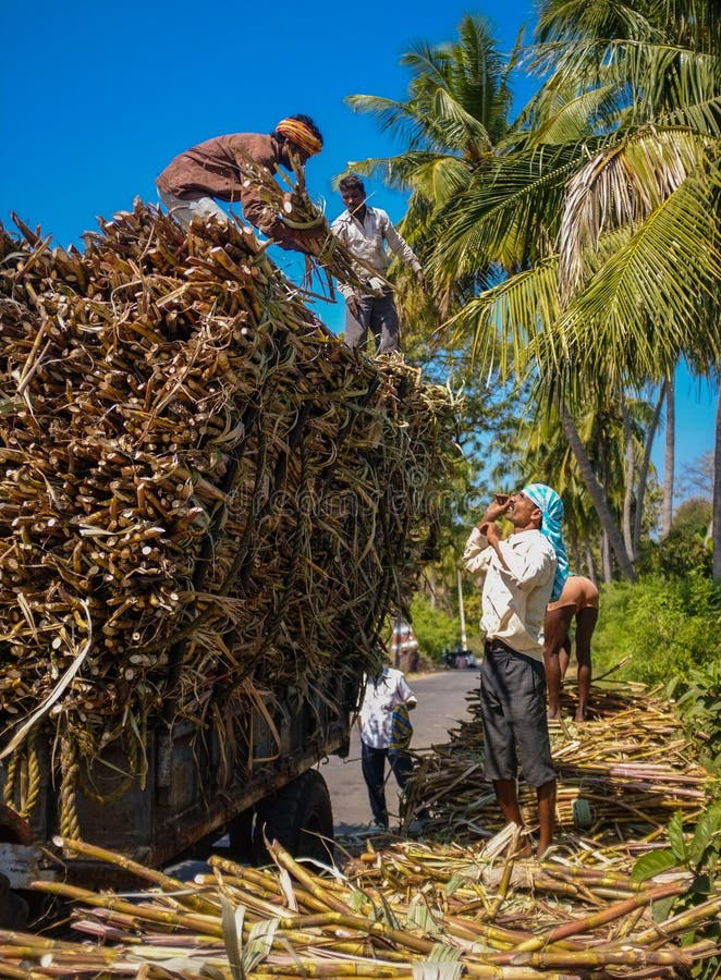 Ouvriers indiens photo stock