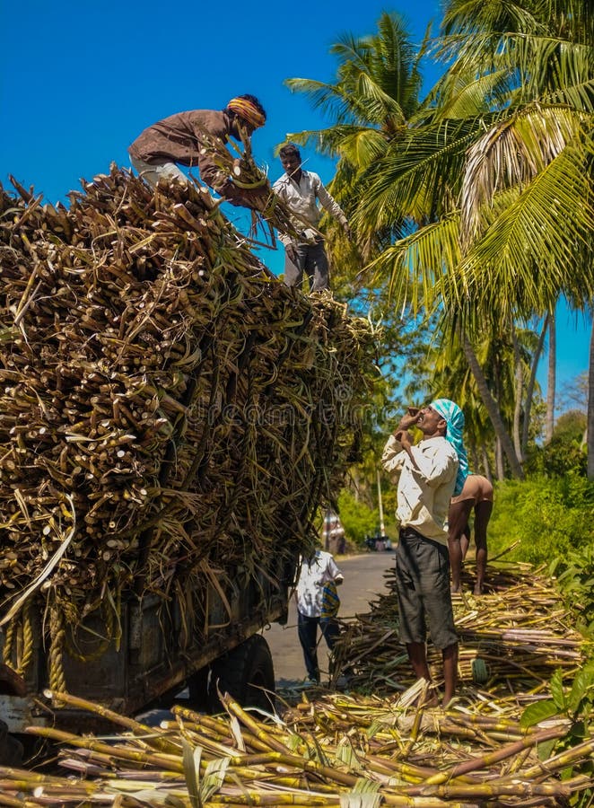 Ouvriers indiens photo stock