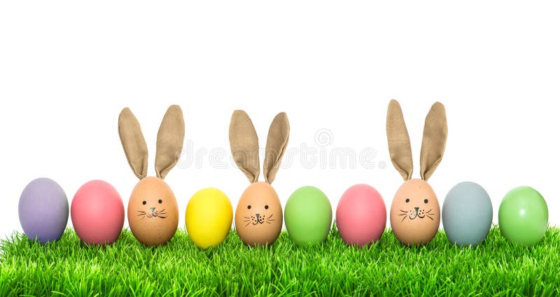 Ouă amuzante de iepuri. banner sărbători stock images