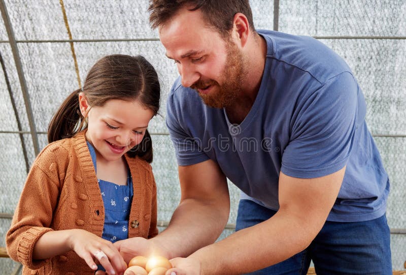 Ouăle de fermă și copiii îl ajută pe tata să colecteze pentru producția de păsări de curte din sectorul agricol și din punct de ve stock photos