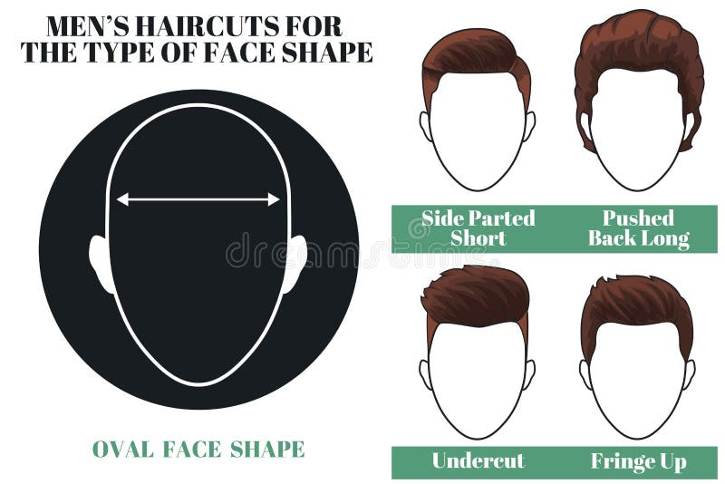 Oval face shape stock vector. Illustration of avatar - 66330507