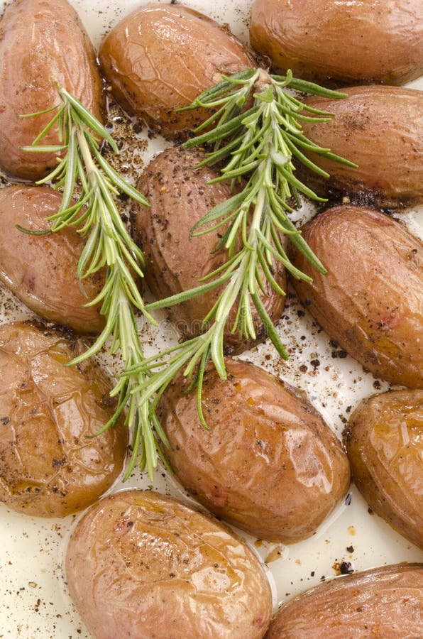 Oven Baked Potato with Rosemary Stock Photo Image of herb, crushed 41533750