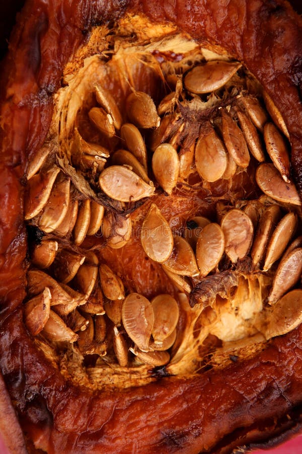 Oven baked pumpkin with seeds royalty free stock photography