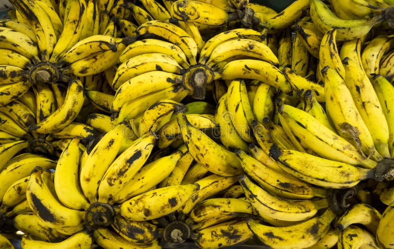 Over rijpe bananenachtergrond in markt, hoogste mening en defocus stock afbeeldingen Over rijpe bananenachtergrond in markt, hoogste mening en defocus stock afbeeldingen