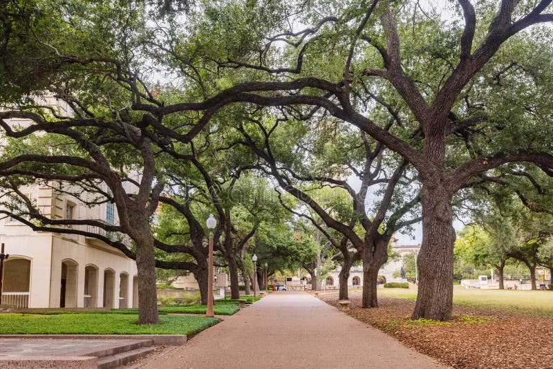 Overcast view of the campus of University of Texas at Austin royalty free stock photo