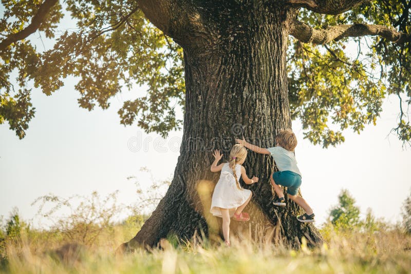 Overcoming the fear of heights. Happy children on countryside. Climbing trees children. Little boy and girl climbing high tree. Funny brother and sister