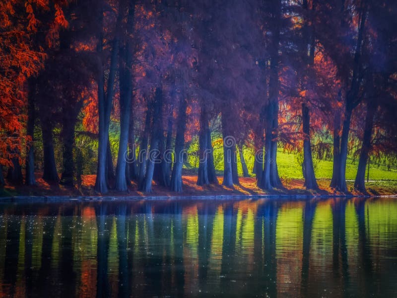 Overfiltered artistic autumn mist with trees on water`s edge