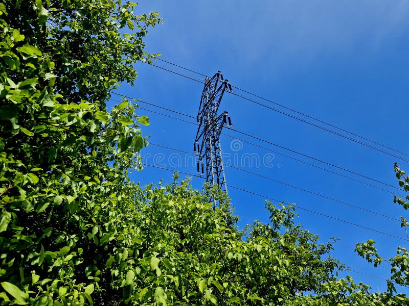 Overgrown bushes and trees encroaching on high-voltage wires stock images