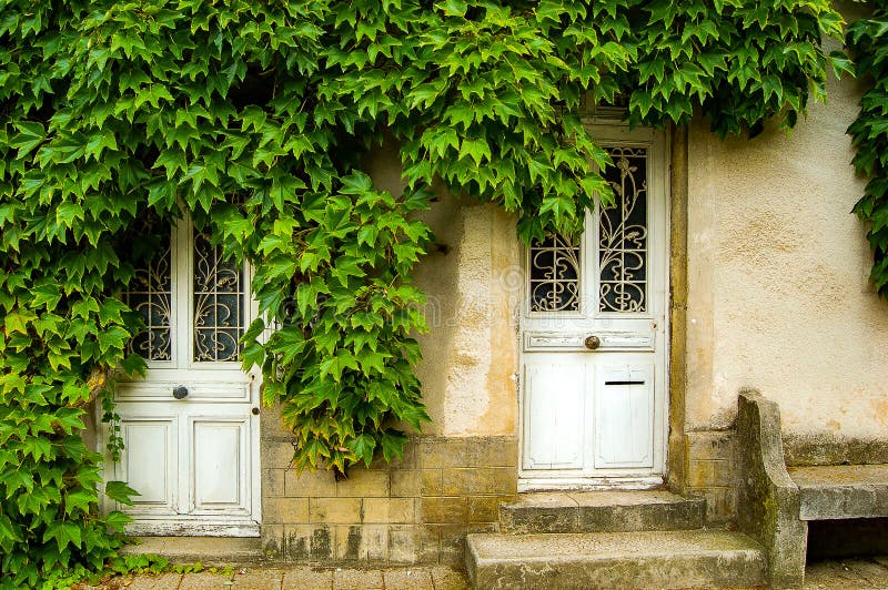 Overgrown facade of a house in France,with an old white door.