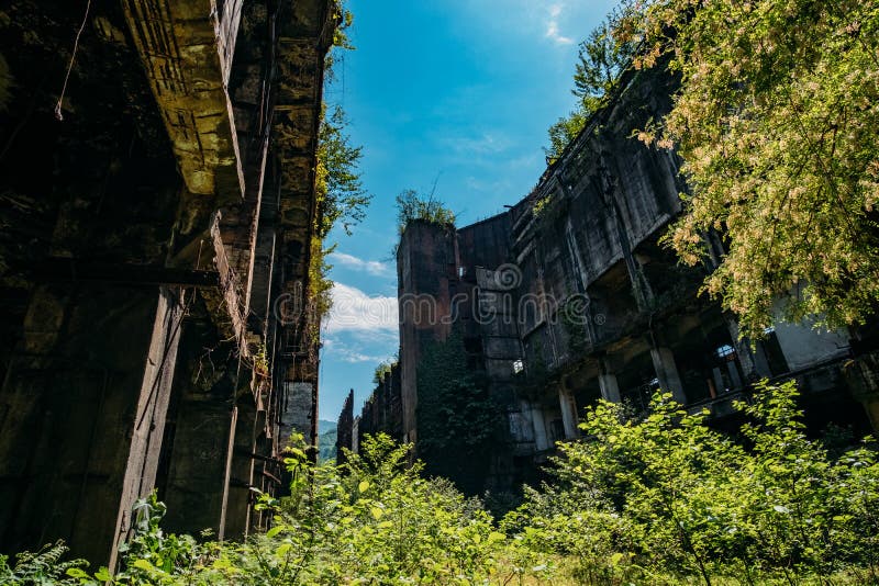 overgrown-ruins-industrial-building-abandoned-destroyed-war-power-plant-tkvarcheli-tquarhcal-abkhazia-georgia-overgrown-167737725.jpg