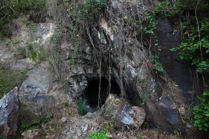 overgrown-vines-entrance-to-cave-rock-82569817.jpg