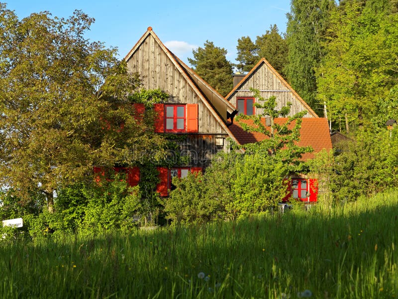 Overgrown wooden house red windows at forest at spring